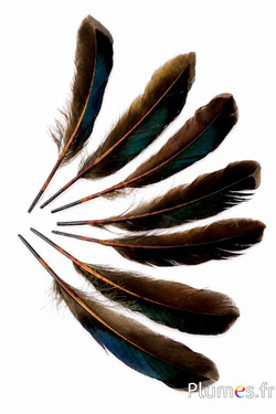 Ente - 8-10 cm - grün-kaki